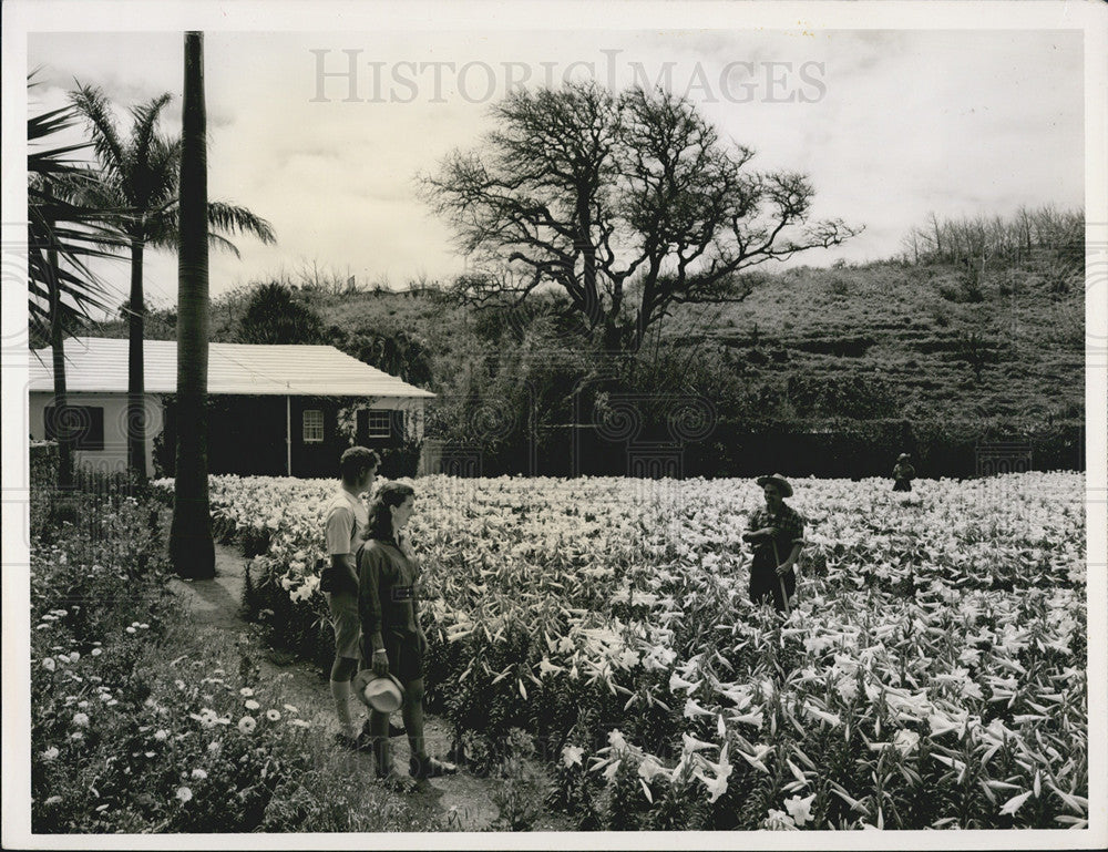 Press Photo Couple &amp; Farmer Flower Field Tourist Valley Nature Agriculture Farm - Historic Images