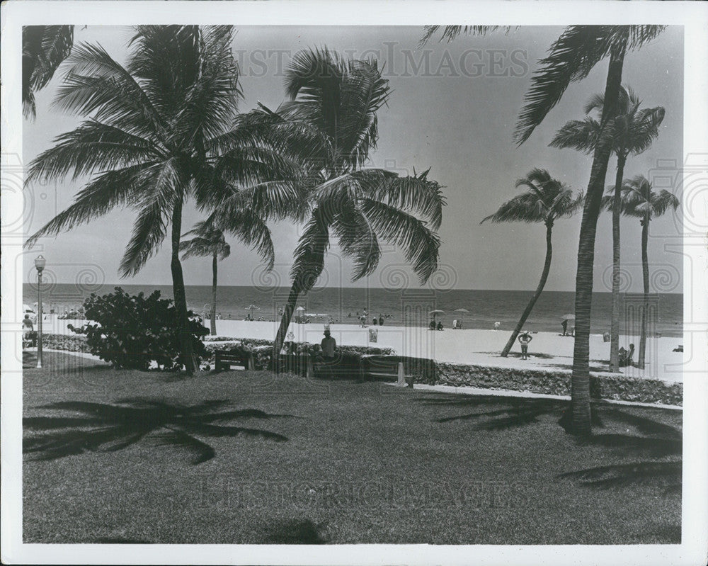 1968 Press Photo Miami Beach Florida Oceanfront Public Park - Historic Images