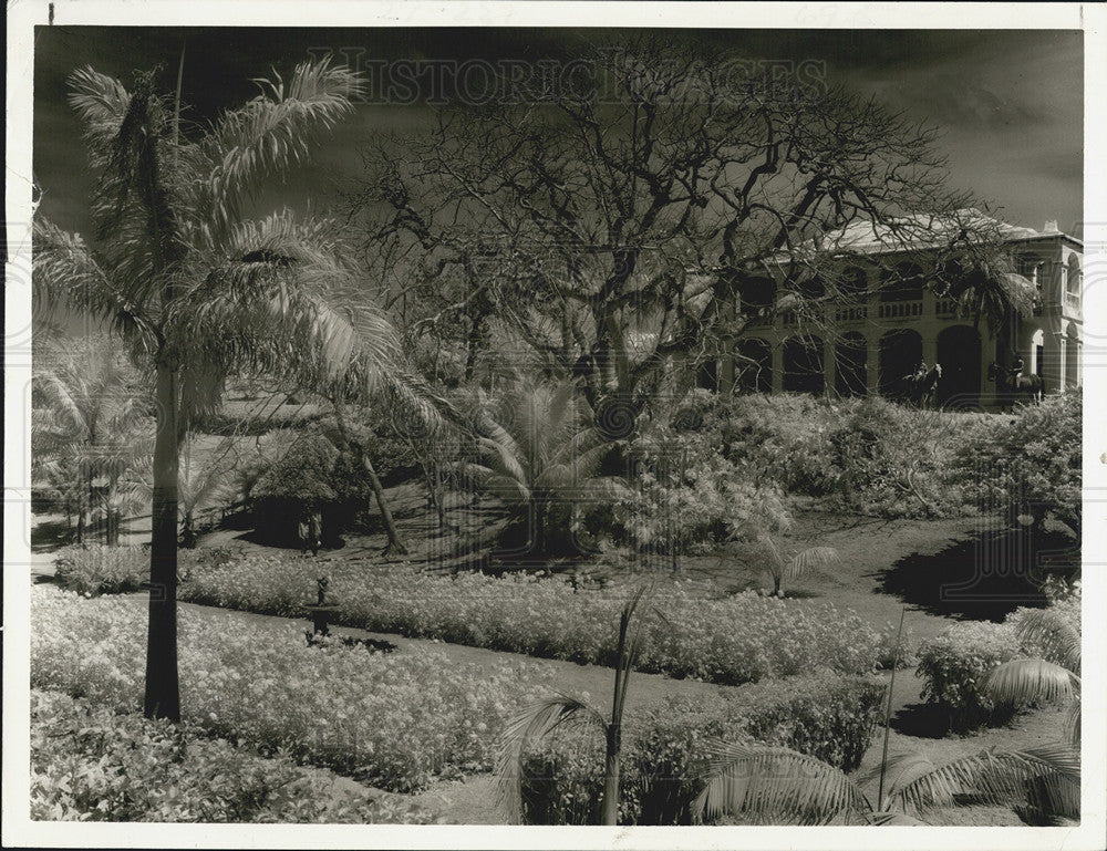 1978 Press Photo Palm Grove Gardens Hamilton Bermuda - Historic Images