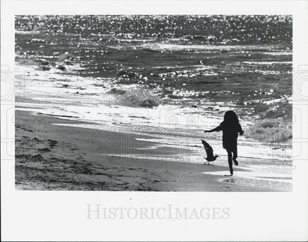 1990 Press Photo Child Chases Seagull Indian Rocks Beach Florida - Historic Images