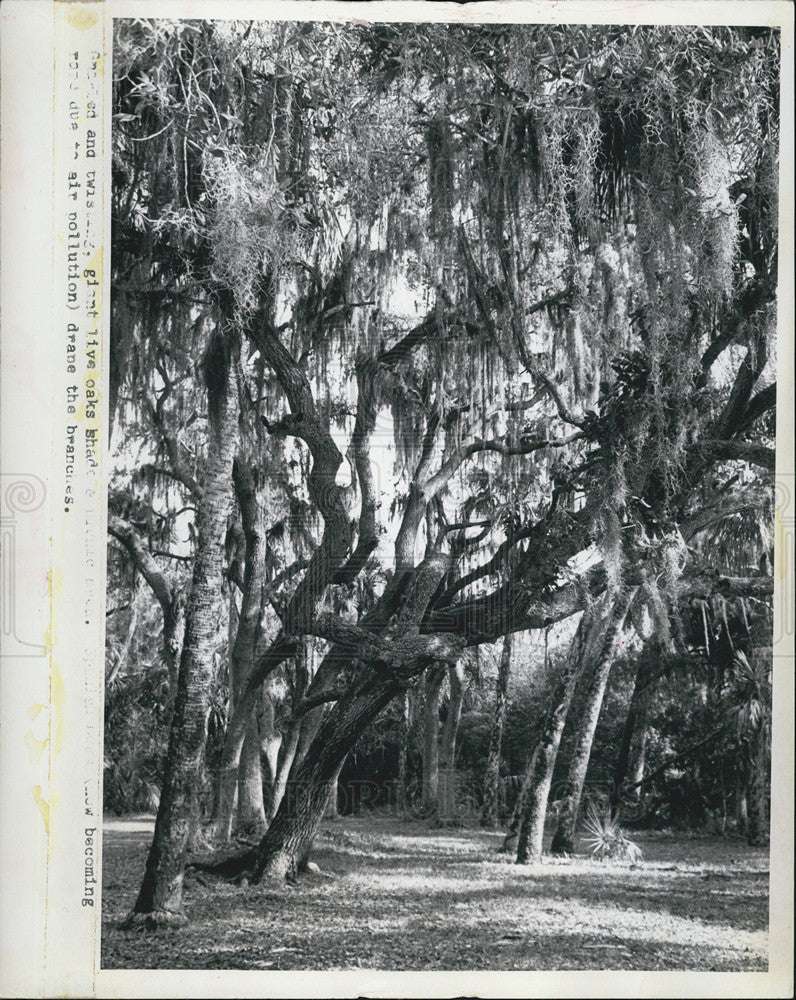 1973 Press Photo Abercrombie Park - Historic Images