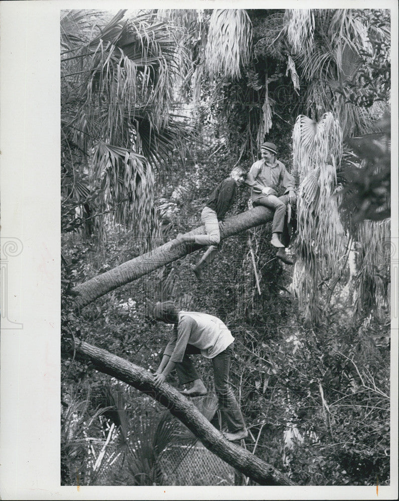 1971 Press Photo Abercrombie Park in St. Petersburg, Florida - Historic Images