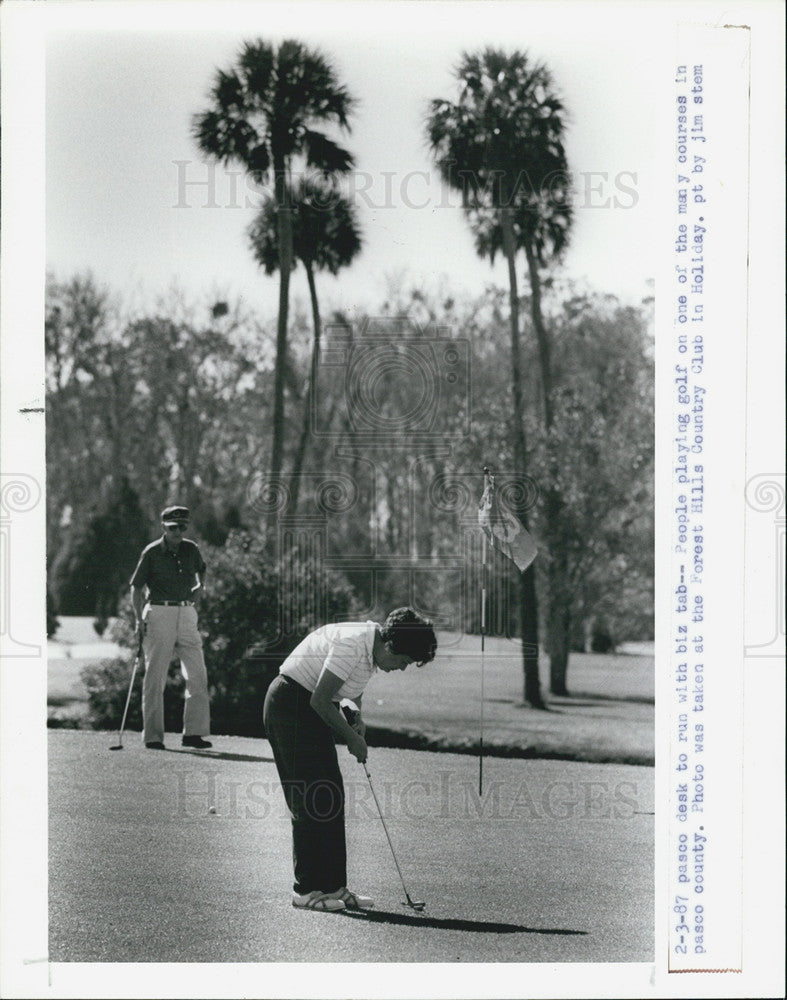 1987 Press Photo Forest Hills Country Club in Holiday will having golf courses - Historic Images