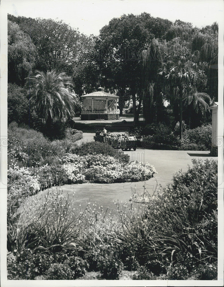 Press Photo A garden of beauty - Historic Images