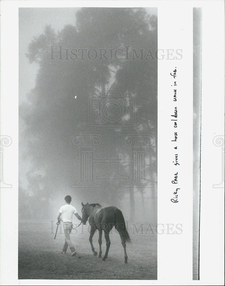 1969 Press Photo Rick Page An Horse Walk On Misty Morning - Historic Images