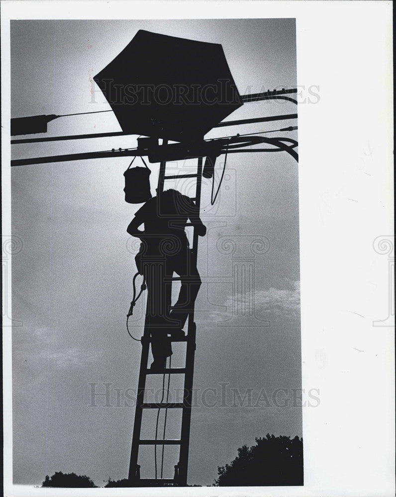 1977 Press Photo Telephone Lines Repairman with umbrella - Historic Images