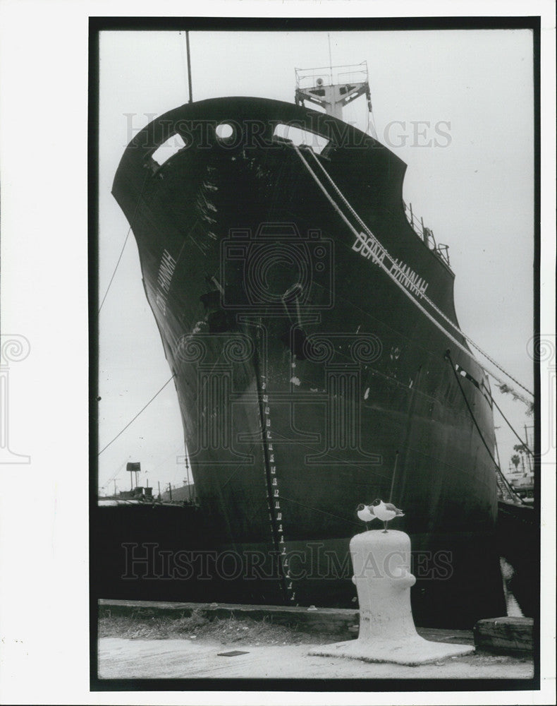 1992 Press Photo Two Seagulls Rest Near Ship In Port Of Tampa - Historic Images