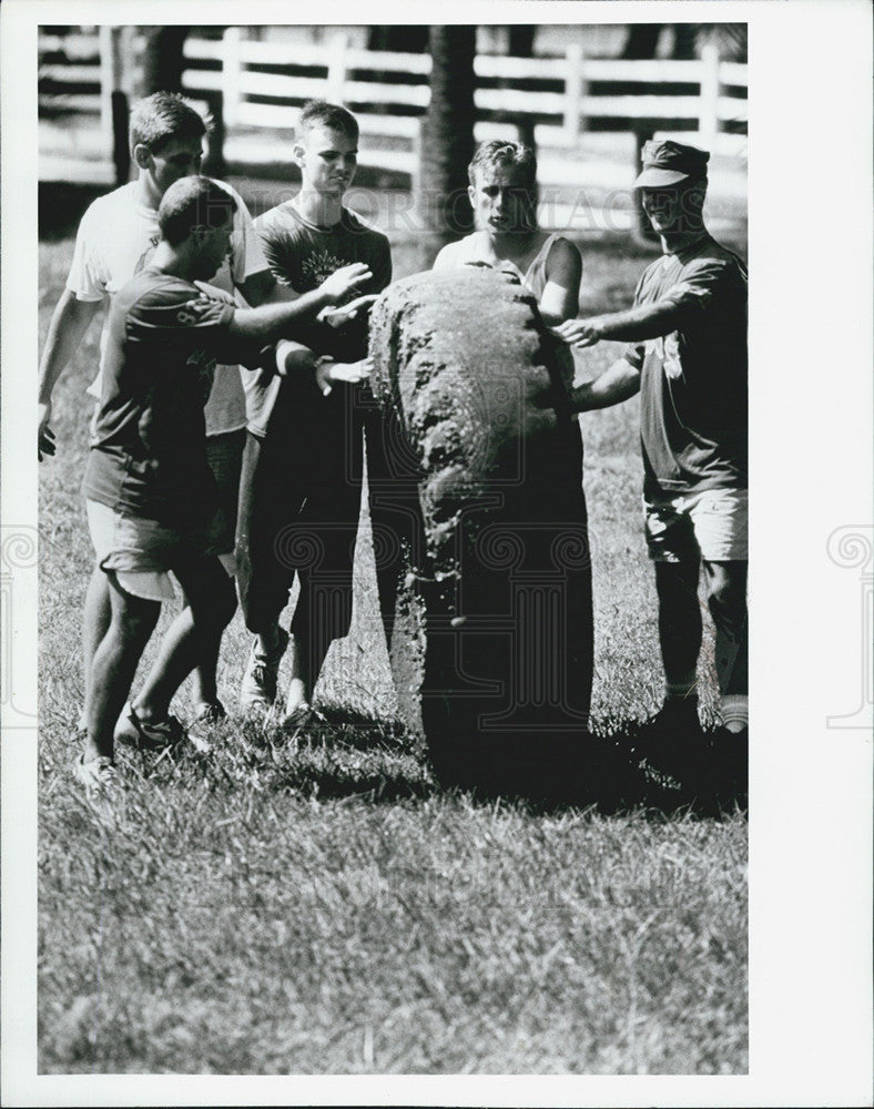 1990 Press Photo Air Force ROTC Tampa Bay Ballast Point Park - Historic Images