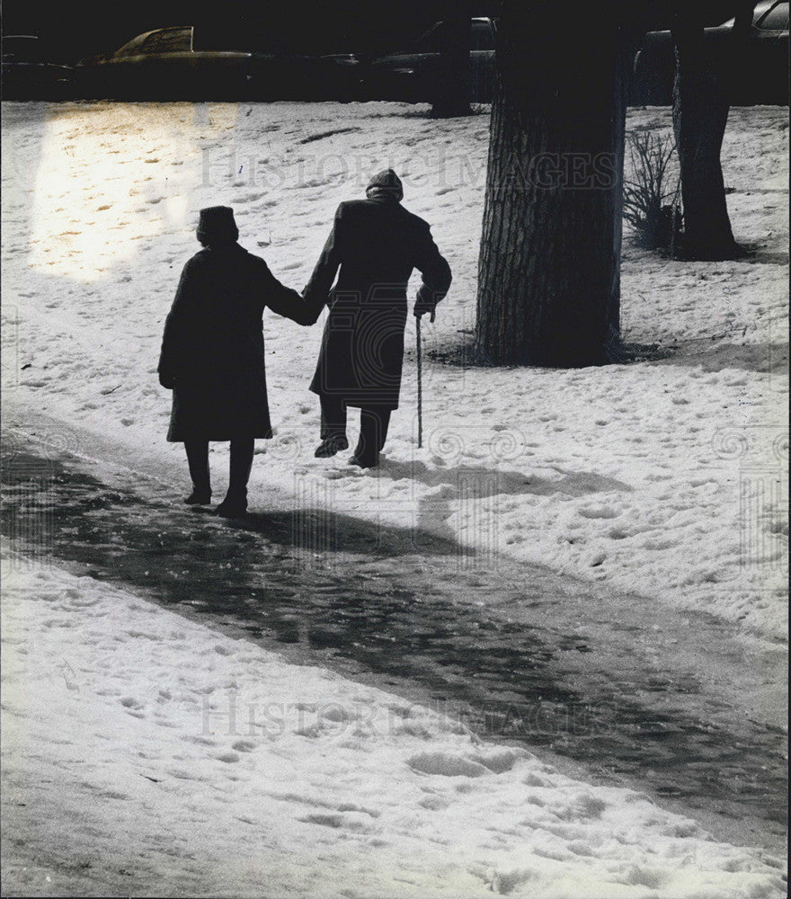 1982 Press Photo Ermanas, Ida Simaieis, Lincoln Park - Historic Images