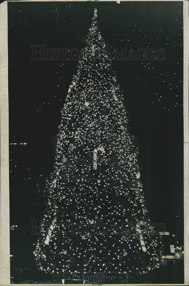 1970 Press Photo Christmas Tree Lit In Civic Center - Historic Images