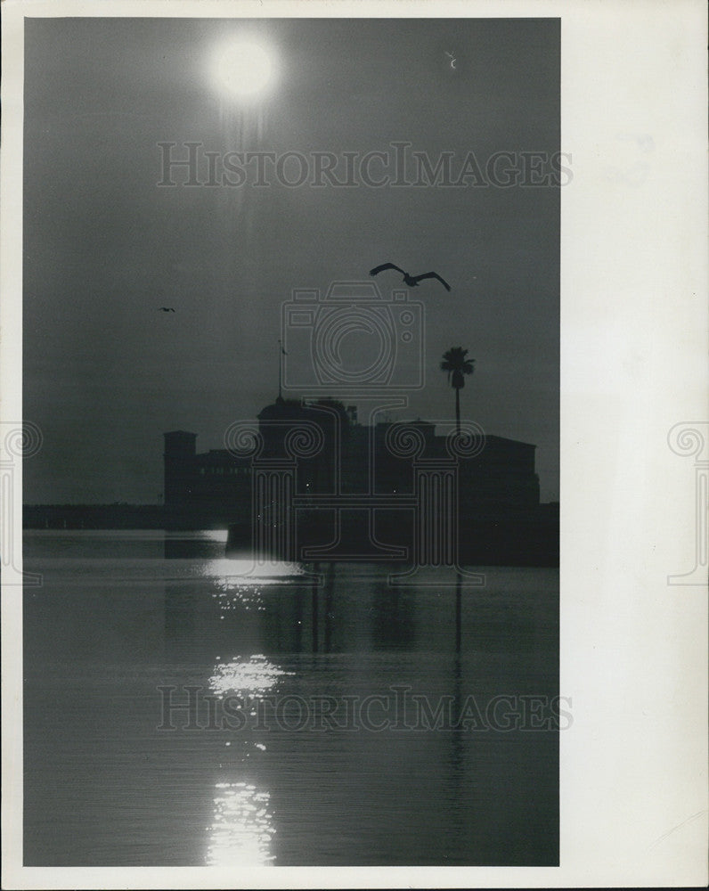 Press Photo Lone Bird Flies In St Petersburg Night - Historic Images