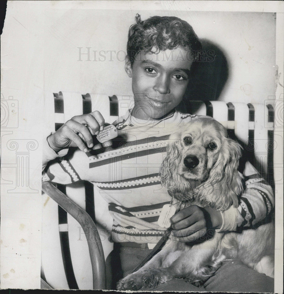 1952 Press Photo George Golightly Shotgun Cocker Spaniel A-Bomb Tags Civil Def. - Historic Images