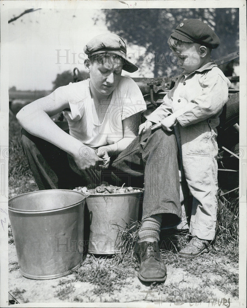 1943 Press Photo Peter Willis Paul Dolder cutting seed potatoes planting fields - Historic Images