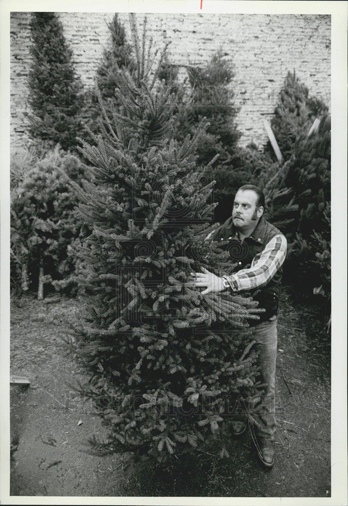 1981 Press Photo Richard Tymm operator Christmas tree lot Lincoln - Historic Images