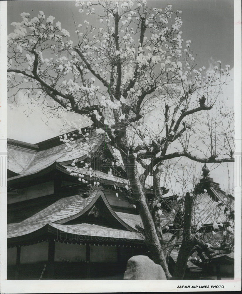 1969 Press Photo Japananese landmark. - Historic Images