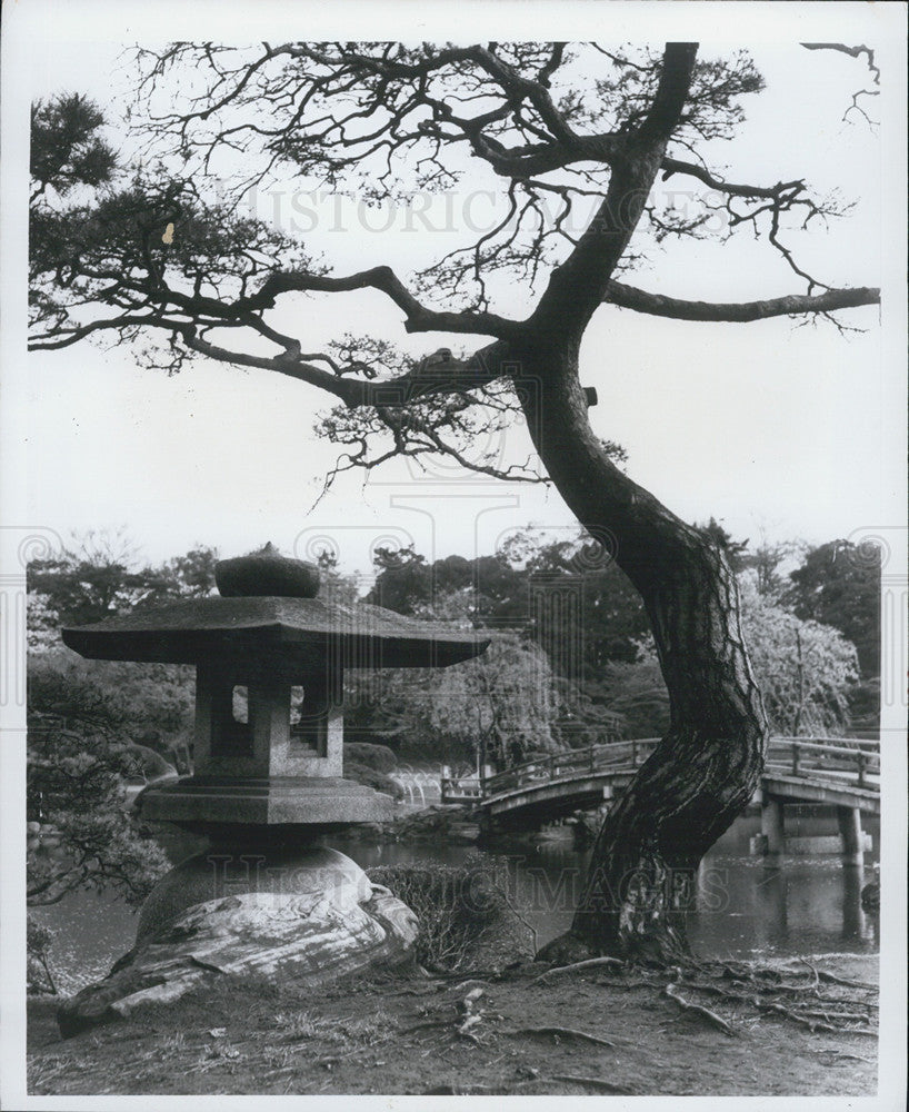 1968 Press Photo Shinjuku Garden. - Historic Images