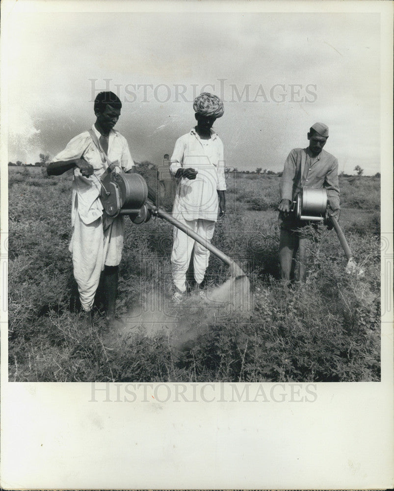 1962 Press Photo Dusting Team, Indian Shrubs to Kill Locusts - Historic Images