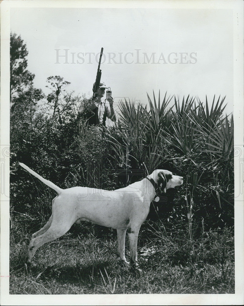 1964 Press Photo Hunting Dog with electronic collar - Historic Images