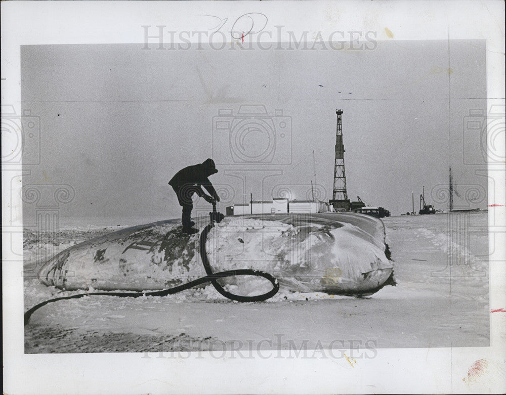 1969 Press Photo Rubberized Pillow tanks holding diesel oil in Alaska - Historic Images