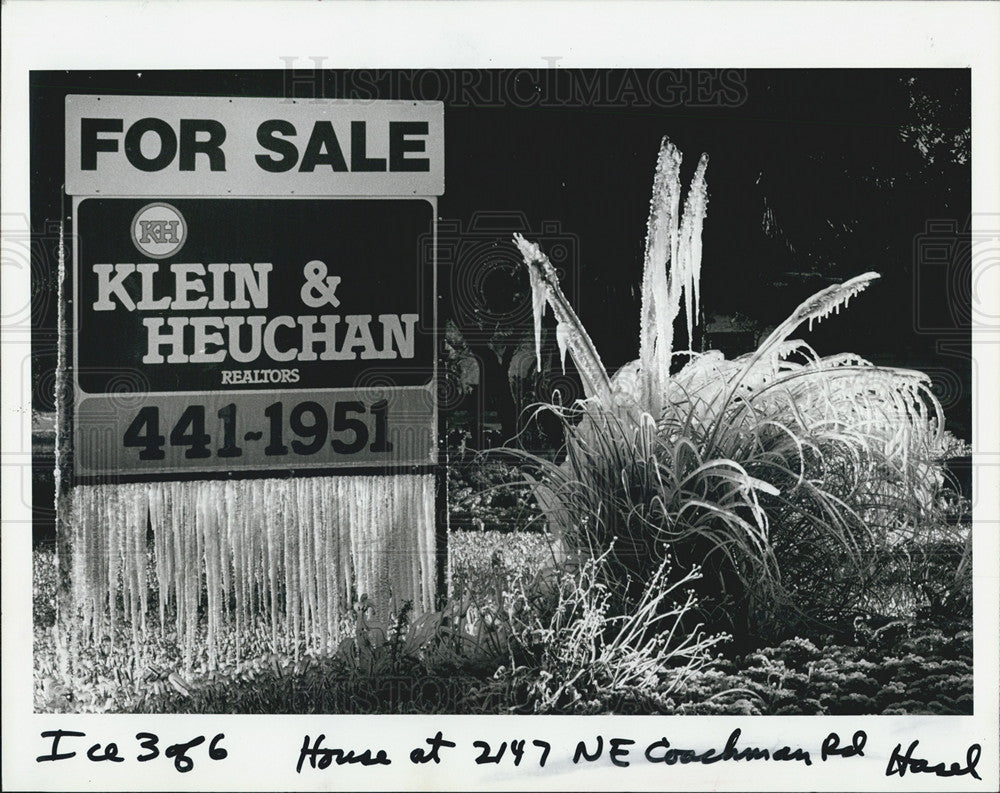 1985 Press Photo  ice Hangs From Sign &amp; Covers Plant Pinellas County FL - Historic Images