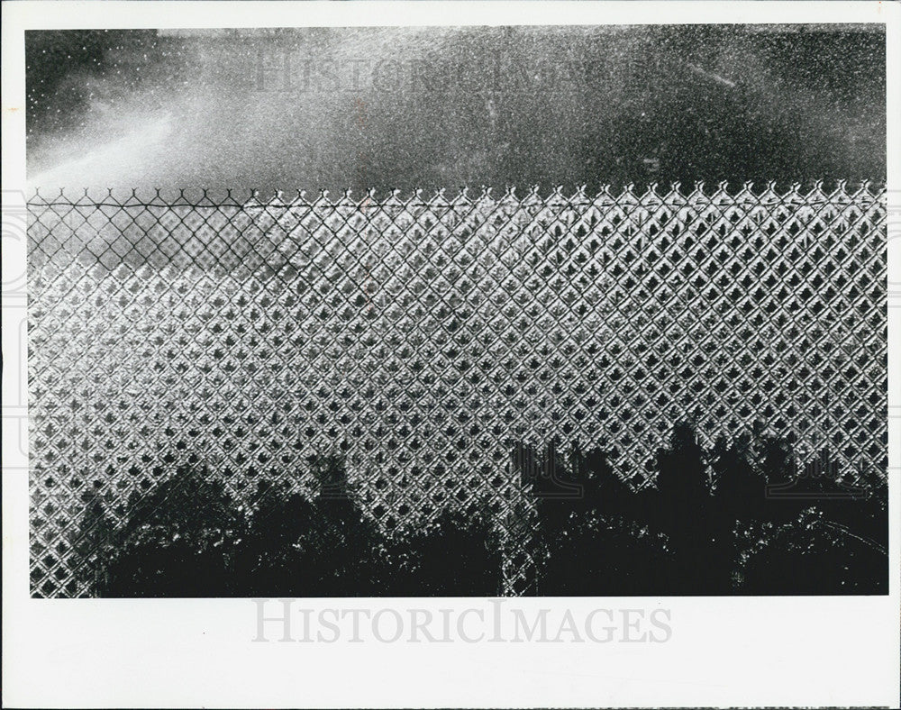 1983 Press Photo Icy Effect on Nursery Fence from Sprinklers St. Petersburg FL - Historic Images