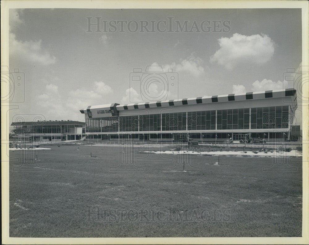 1967 Press Photo Tampa Greyhound Track - Historic Images