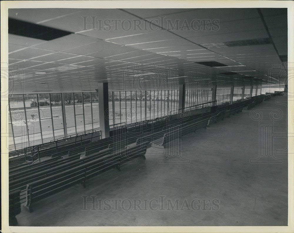 1967 Press Photo Greyhound Race Track Tampa FL - Historic Images