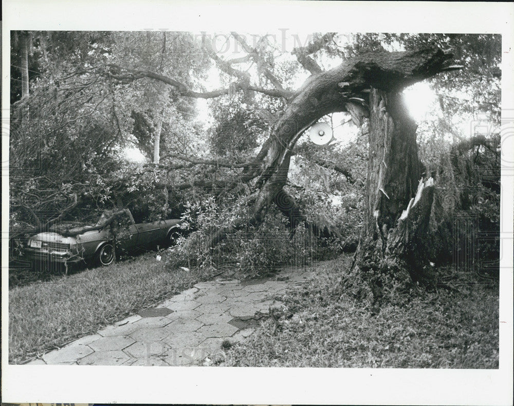 1984 Press Photo Aftermath of Tropical Storm Isidore at Suncoast - Historic Images