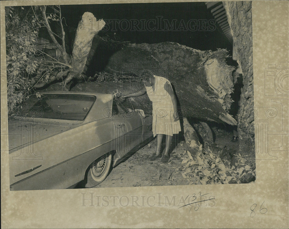1969 Press Photo Mrs Dave James Inspecting Crushed Car Fallen Tree - Historic Images