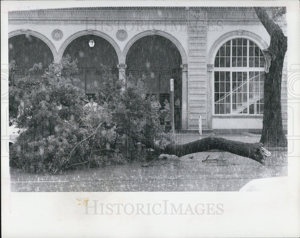 1970 Press Photo Traffic Blocked On First Avenue N Outside Post Office By Limb - Historic Images