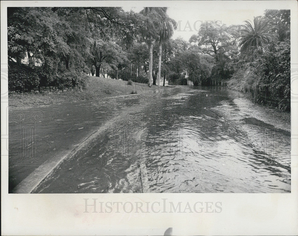 1973 Press Photo Booker Creek Oversteps Boundaries In Roser Park, Submerges Road - Historic Images