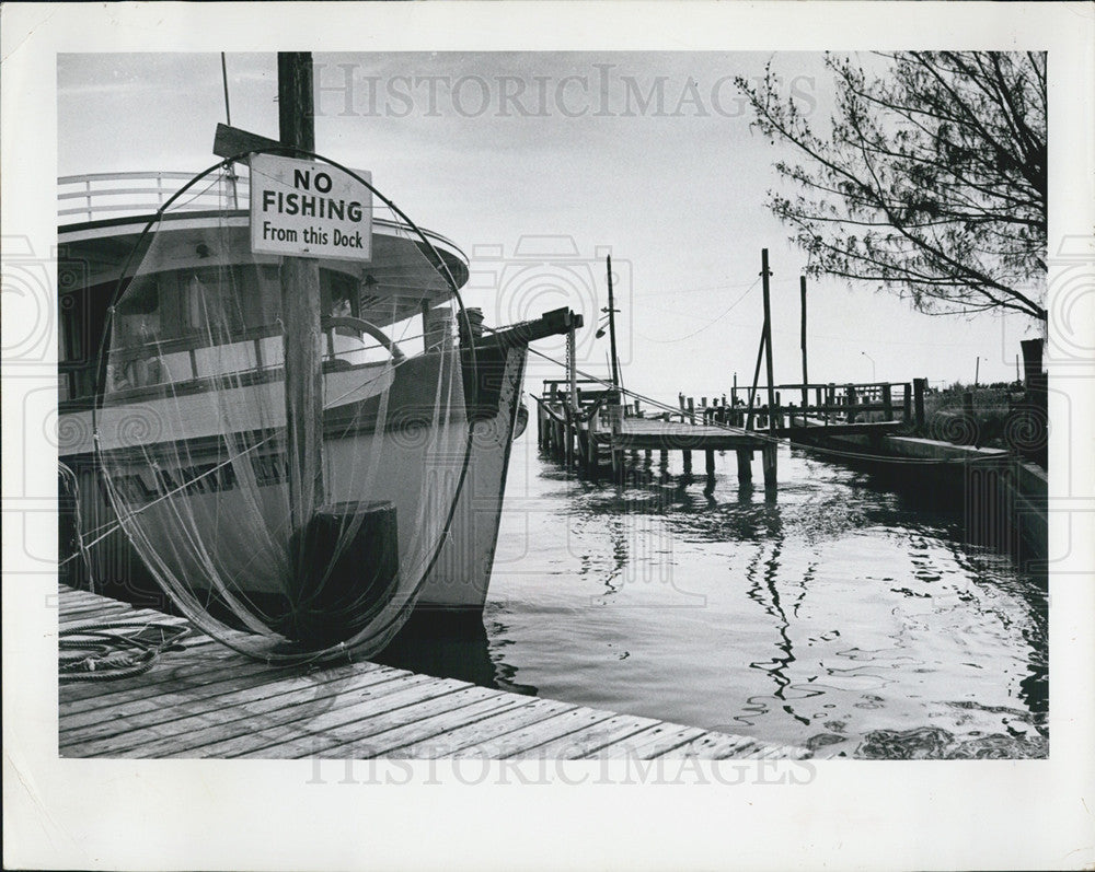 1963 Press Photo St. Pete Scenes - Historic Images