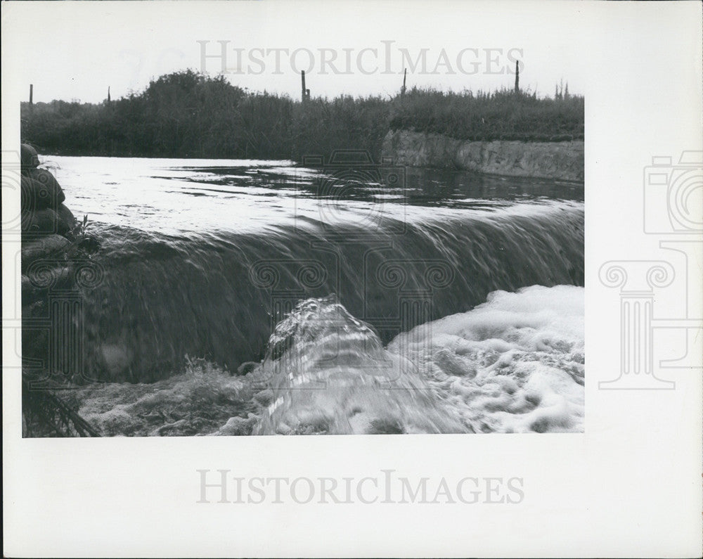 1968 Press Photo Saw grass lake in Pinellas County, St Petersburg - Historic Images