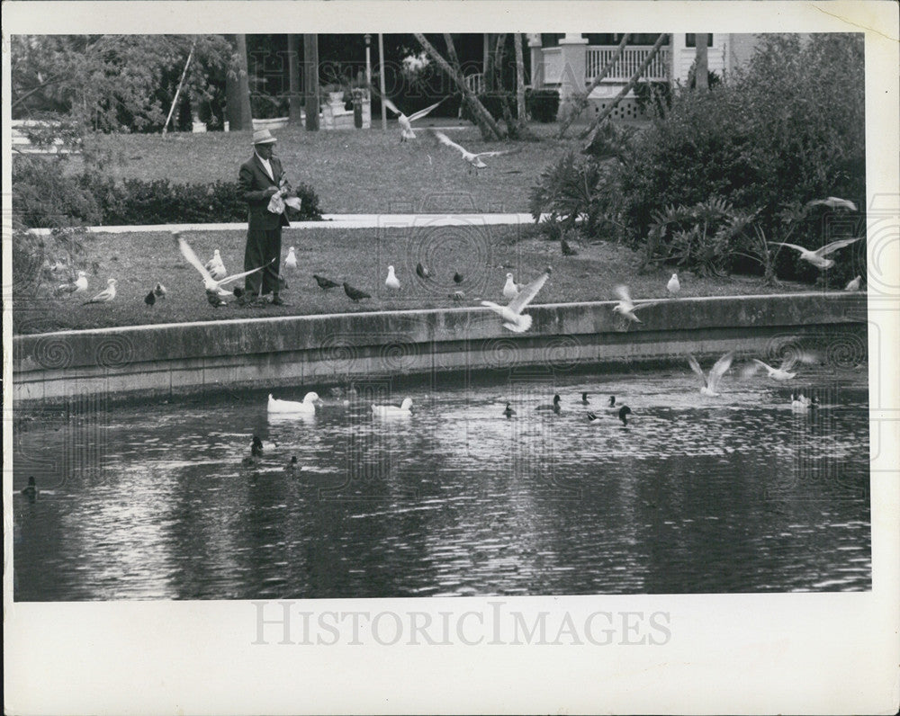 1969 Press Photo Birds At Round Lake In A Summer Scene From St. Petersburg - Historic Images