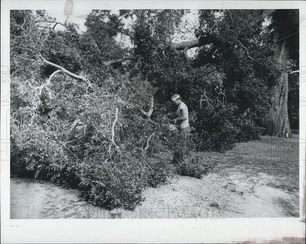 1981 Press Photo Lenord Wilkey with Circle Tree Service - Historic Images