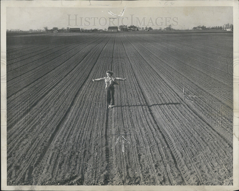 1946 Press Photo Strip-Farmers Working Des Plaines Melanie Long - Historic Images