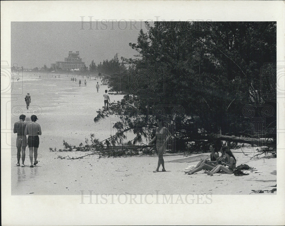 1972 Press Photo Calm After Storm Named Agnes Trees Down Beach Lovers Again Sun - Historic Images