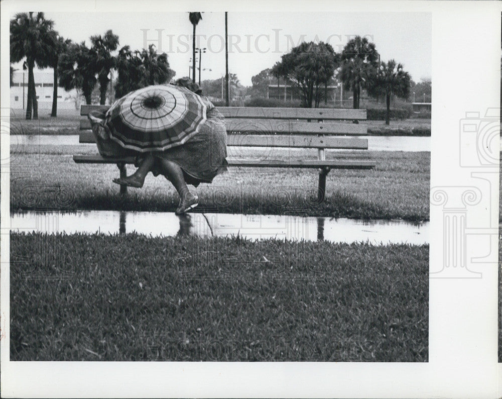 1972 Press Photo Hurricane Agnes/Bartlet Park - Historic Images