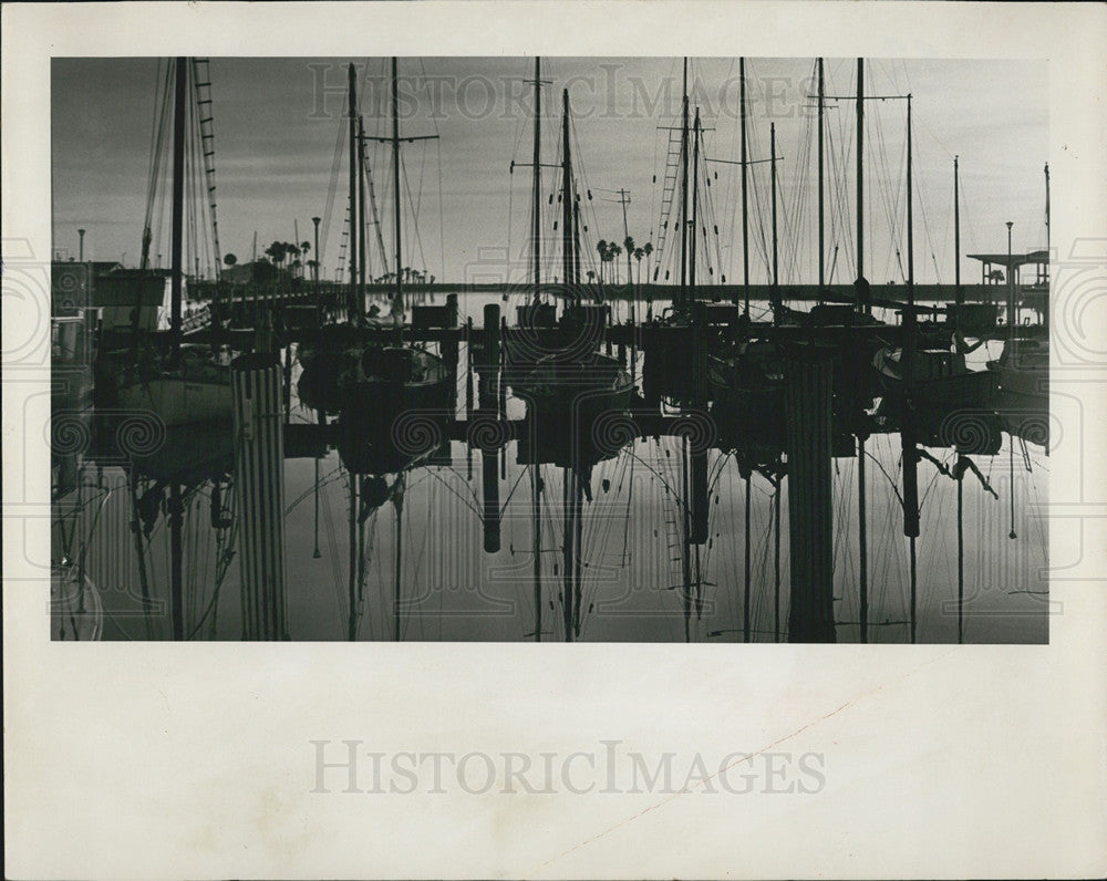 1964 Press Photo Sailboats/St. Petersburg Yacht Club/Tampa Bay - Historic Images