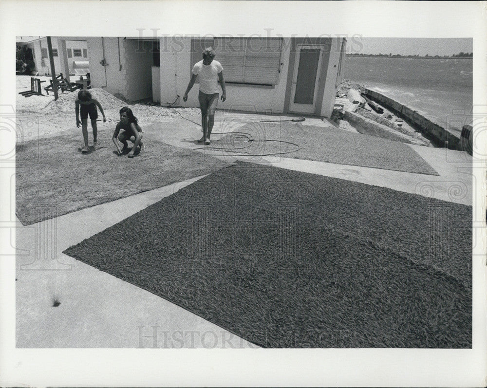 1972 Press Photo Hurricane Agnes Aftermath - Historic Images