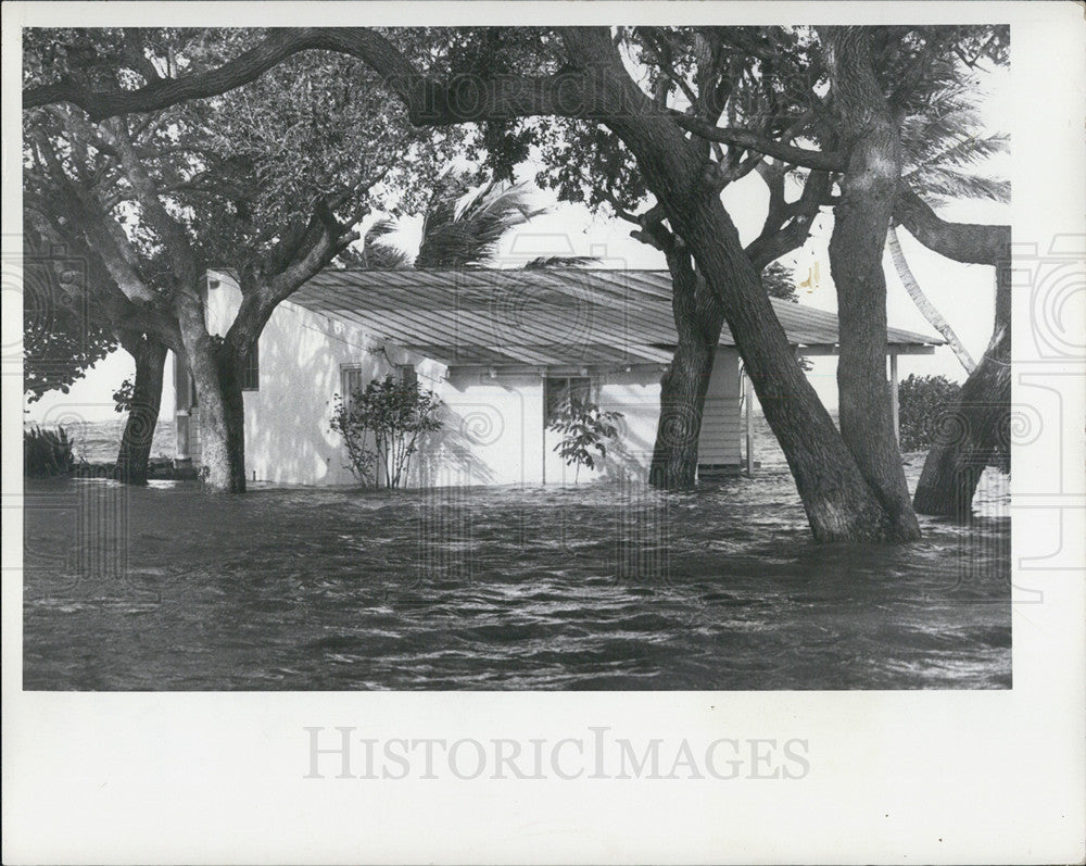 1972 Press Photo House In Flood From Hurricane Agnes St Petersburg Florida - Historic Images