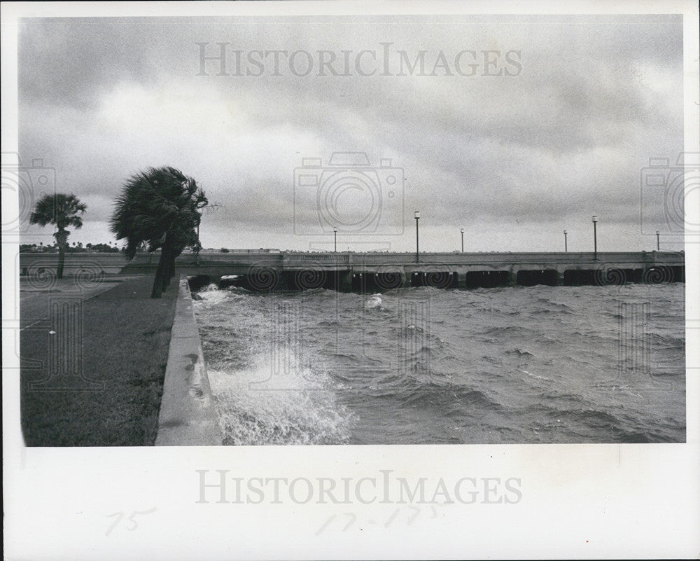 1977 Press Photo St. Petersburg Pier High Waves Swaying Trees Storm - Historic Images