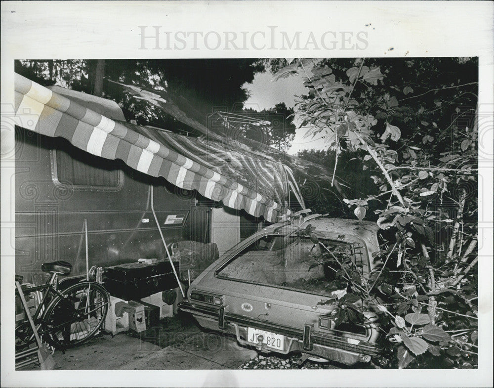 1980 Press Photo Thunderstorms in Florida caused tree to fall on car in Florida - Historic Images