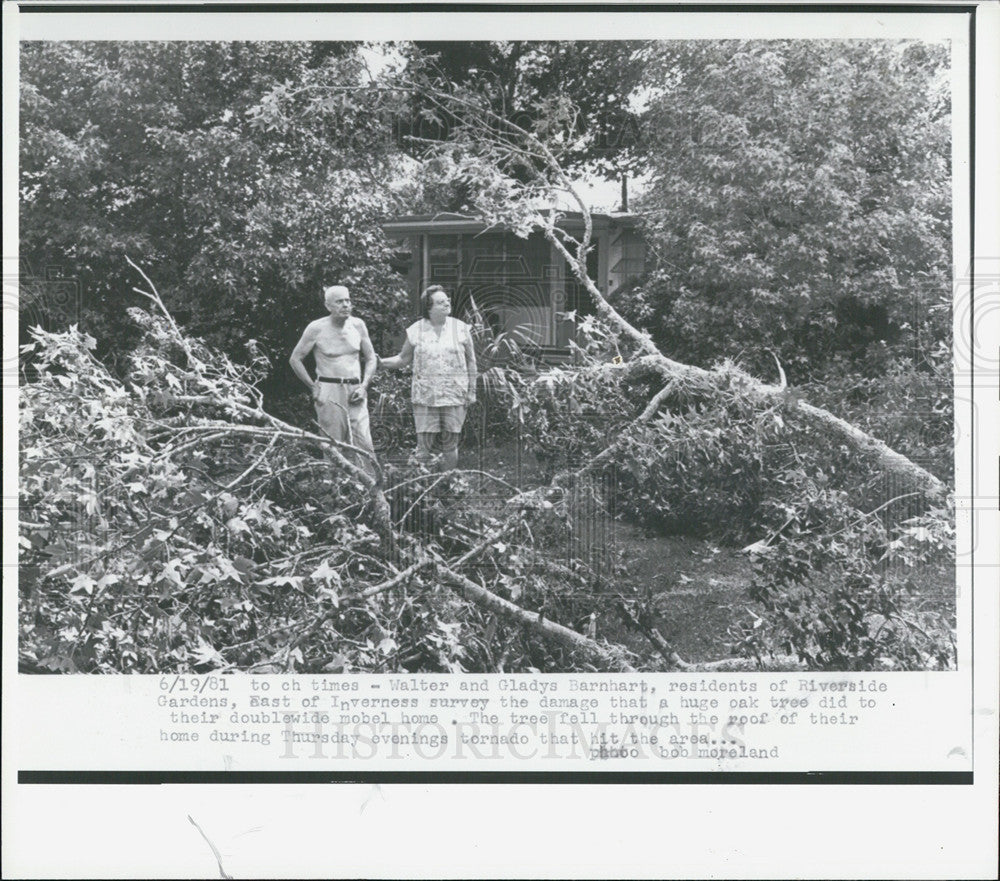 1981 Press Photo Tree comes through roof of mobile home after a Tornado touches - Historic Images