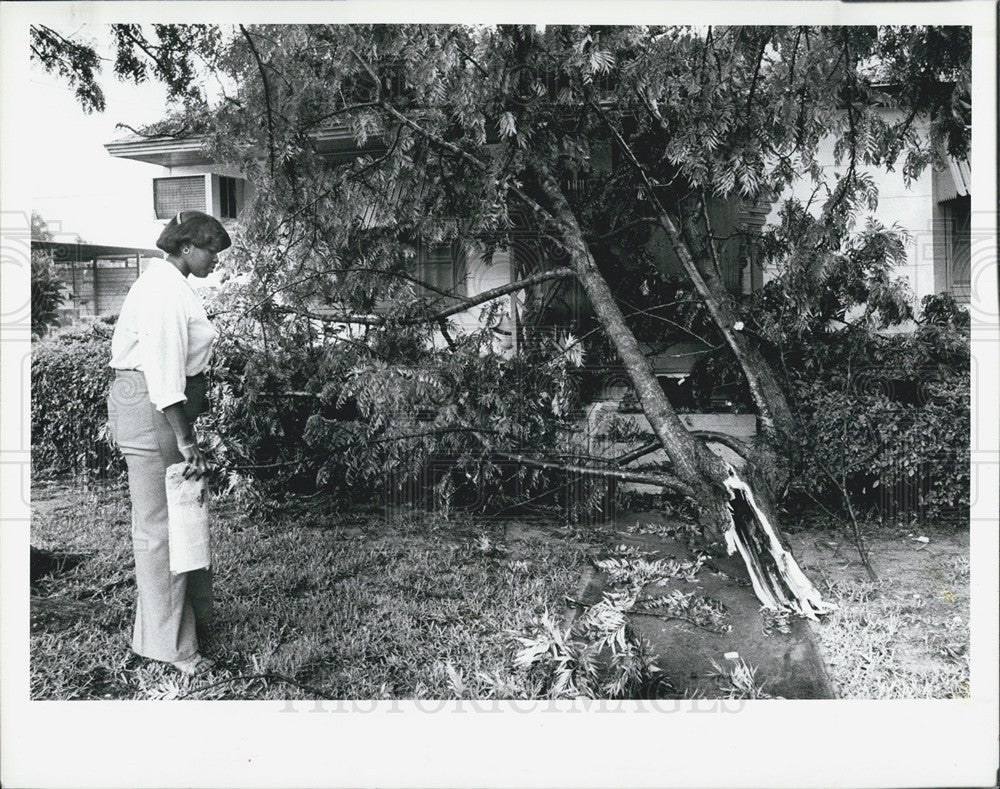 1981 Press Photo LaFredia Quarterman damage short violent storm tree limb - Historic Images