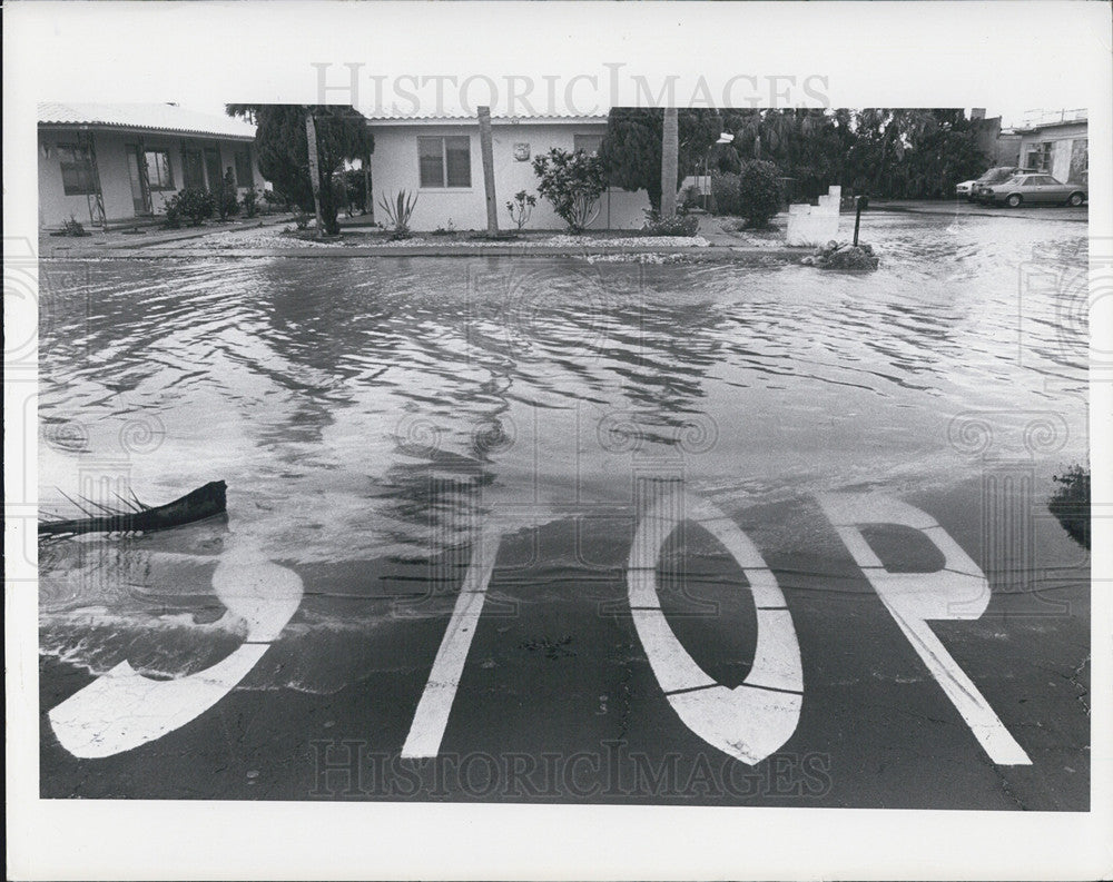 Press Photo Flooded Street St. Petersburg Florida - Historic Images