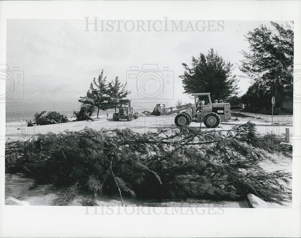 1982 Press Photo Tractors Bulldozers Clear Australian Pines Uprooted Storm - Historic Images