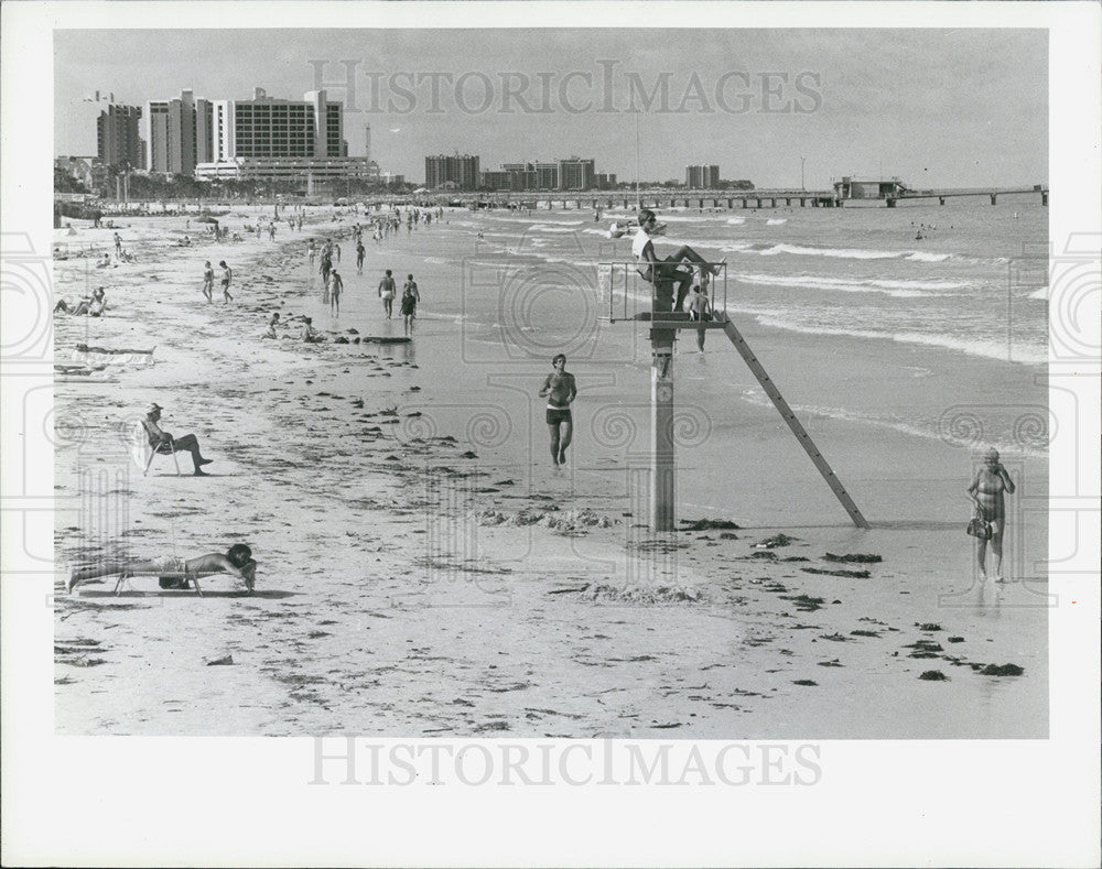 1982 Press Photo Clearwater Beach seaweed damaging storm area - Historic Images