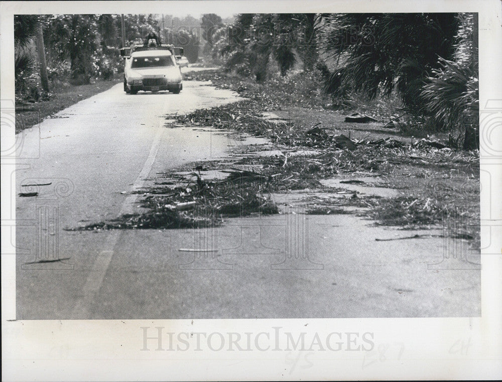 1978 Press Photo Scattered debris across state road 595 the Pasco-Hernando border - Historic Images