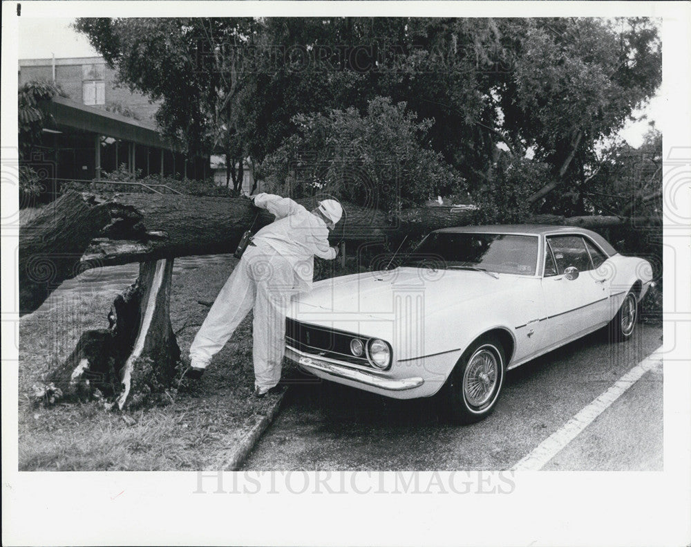 1980 Press Photo Storm tears through Tampa/St. Pete. - Historic Images